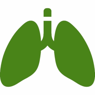 Lungenfunktionstest in der Praxis Dr. med. Ronald Grobe